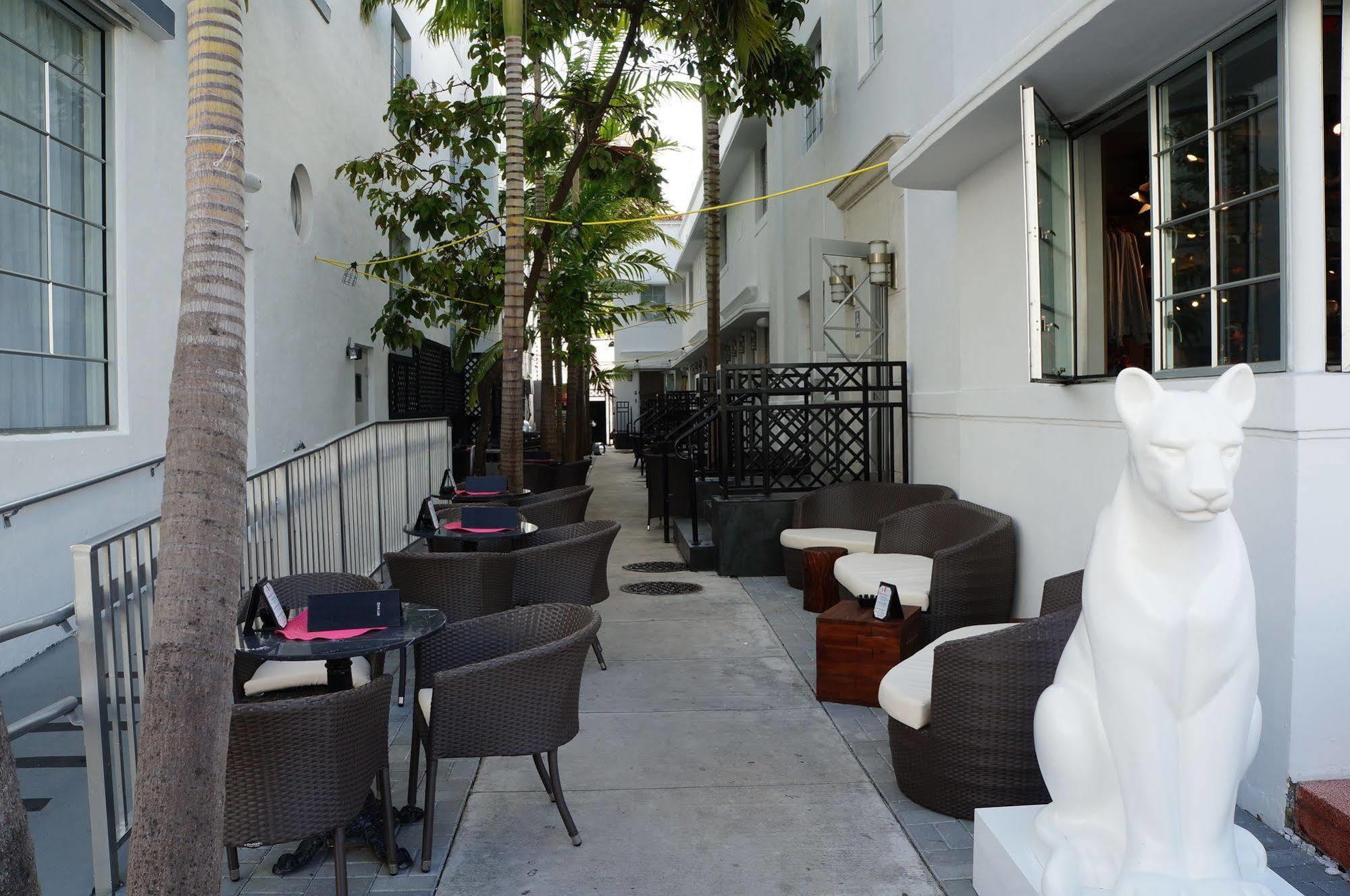 Posh South Beach Miami Beach Eksteriør billede